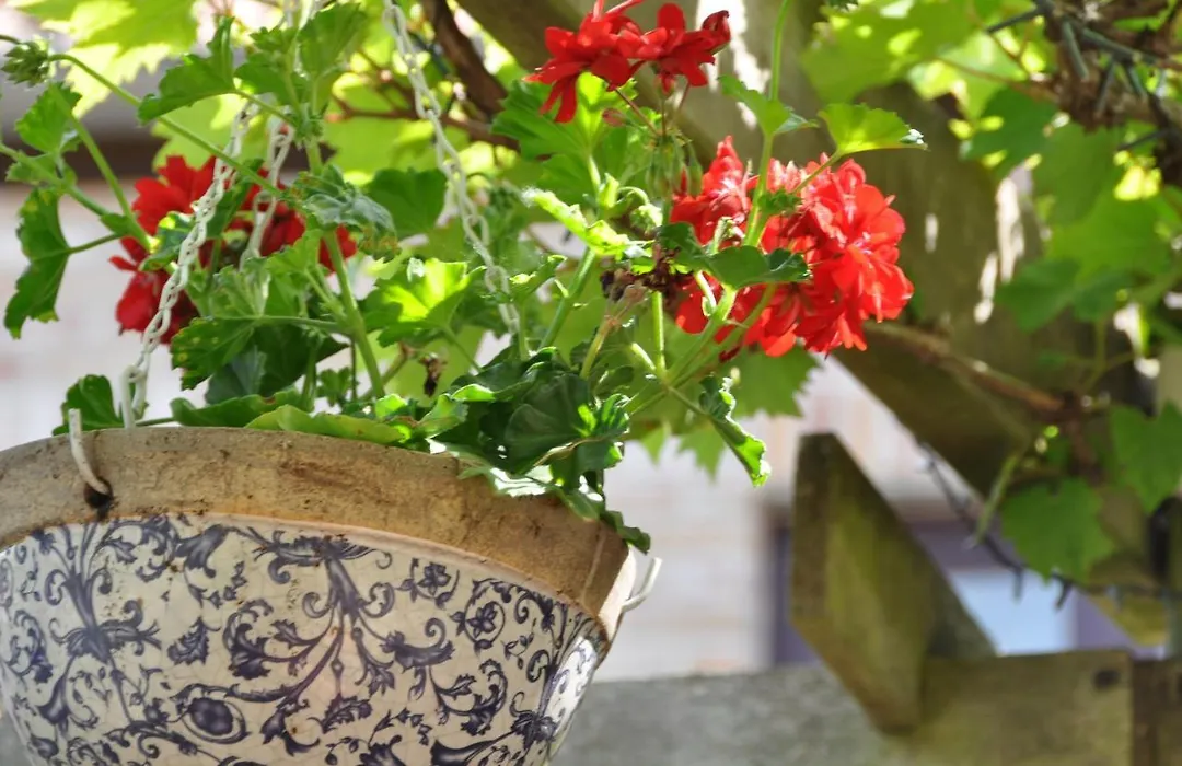 B&B Bella En Basiel-1